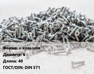 Шуруп с кольцом 6х40 ГОСТ: DIN 571, упаковка 1000 шт цена от 4523 Тг / кг, где купить, условия доставки в Шымкенте и Южно-Казахстанской области